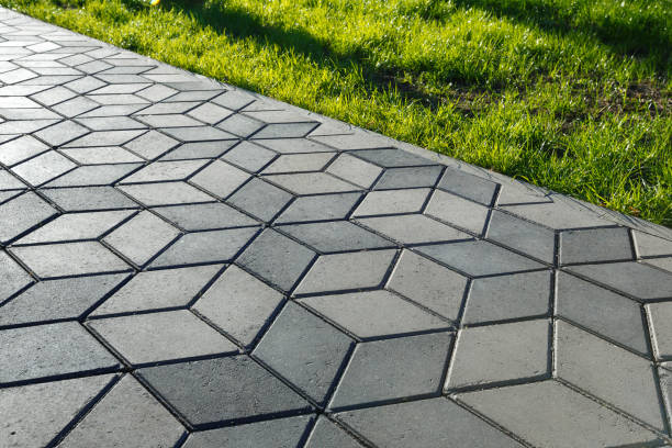 Best Driveway Paving Contractor  in Bloomington, MN